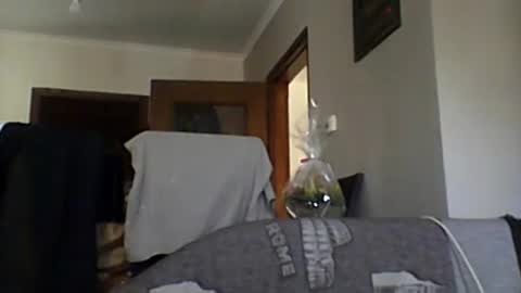 Snapshot of lelshop chatting on 12/08/24, 09:57 lelshop online show from 12/08/24, 09:57