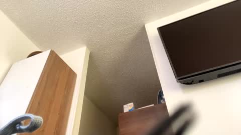 lety hot online show from 12/04/24, 03:54