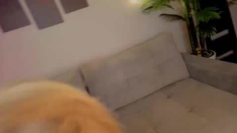 Snapshot of lililok101 chatting on 10/17/25, 02:04 lililok101 online show from 10/17/25, 02:04