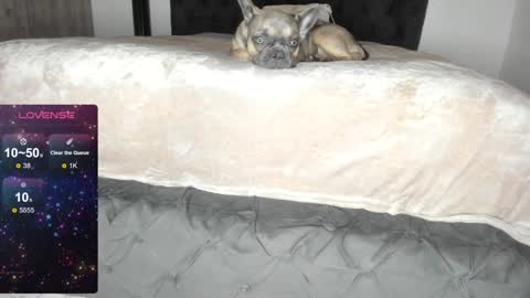 Lilith Parker online show from 01/22/25, 01:20