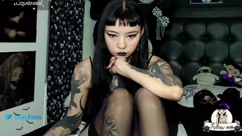   online show from 01/22/25, 12:16