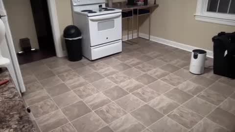 lilly_adams88 online show from 02/21/25, 01:00