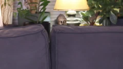 -- My Wishlist  online show from 11/13/25, 03:55