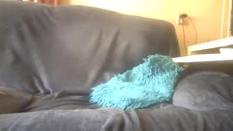 Snapshot of lion160868 chatting on 02/03/25, 10:14 lion160868 online show from 02/03/25, 10:14