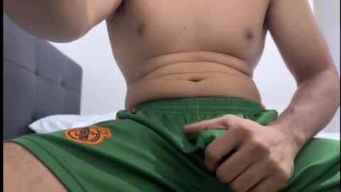 lion_20cm online show from 11/10/25, 12:42