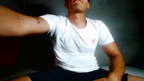 lion_20cm online show from 11/21/25, 10:08