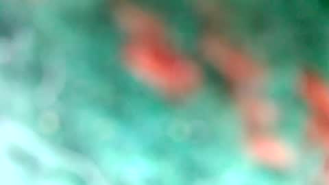 Snapshot of lionelearthquake chatting on 03/11/25, 04:18 lionelearthquake online show from 03/11/25, 04:18