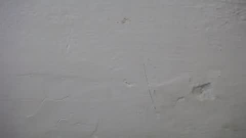 lisa_branch online show from 10/06/25, 07:11