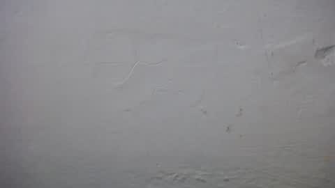 lisa_branch online show from 11/23/25, 10:37