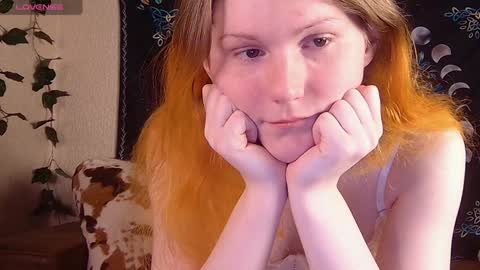 Snapshot of little_witch_sofia chatting on 12/08/24, 09:08 Sofia online show from 12/08/24, 09:08