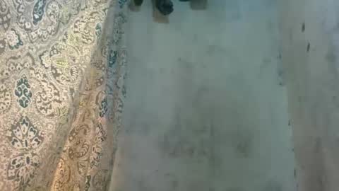 edra online show from 10/13/25, 05:18