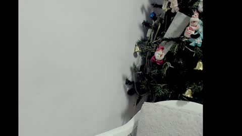 Snapshot of lizz1305 chatting on 12/26/24, 03:20 lizz1305 online show from 12/26/24, 03:20