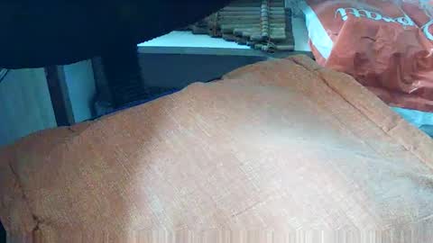 Snapshot of loboxavi chatting on 09/19/25, 01:23 loboxavi online show from 09/19/25, 01:23