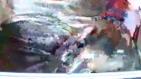 Snapshot of loboxavi chatting on 11/13/25, 03:11 loboxavi online show from 11/13/25, 03:11