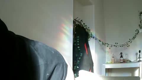 Snapshot of lollylol11 chatting on 02/16/25, 11:38 Lilly online show from 02/16/25, 11:38