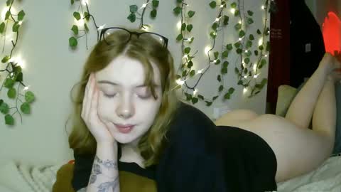 Snapshot of lollylol11 chatting on 03/08/25, 07:09 Lilly online show from 03/08/25, 07:09