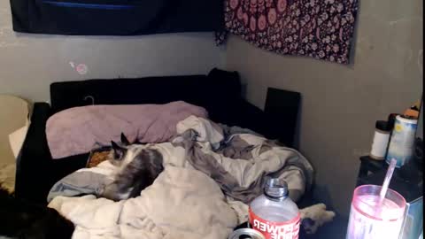 londonray online show from 11/15/25, 11:40