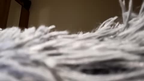 Lora online show from 01/15/25, 08:05