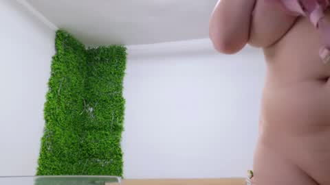 Amelia online show from 02/25/25, 07:58