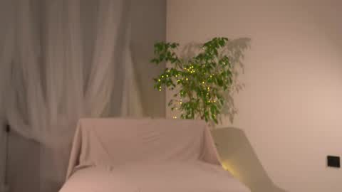 Lorrie online show from 11/23/25, 07:41