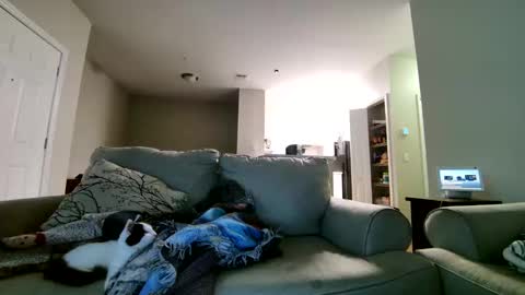 LosRompeCamera online show from 11/17/25, 06:30