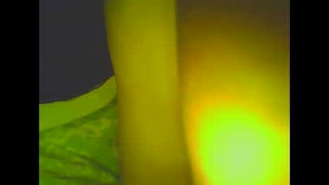 Snapshot of love5pu55y chatting on 03/06/25, 08:30 PleasureX online show from 03/06/25, 08:30