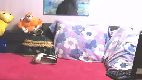 Anna online show from 10/31/25, 10:33