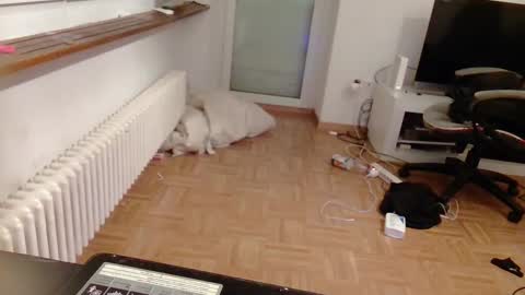 Snapshot of lu25humiliation chatting on 01/10/25, 04:51 lu25humiliation online show from 01/10/25, 04:51