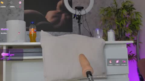 Alice online show from 02/08/25, 11:13