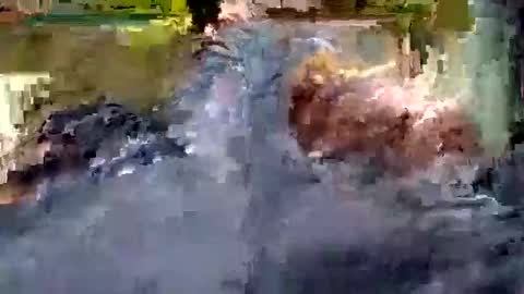 Andrew online show from 10/22/25, 10:59