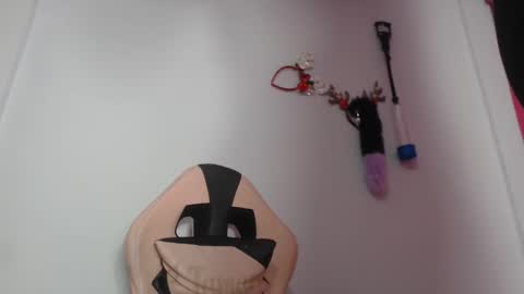 Snapshot of lunitaqueen_ chatting on 12/15/24, 06:40 Luna Tamara online show from 12/15/24, 06:40