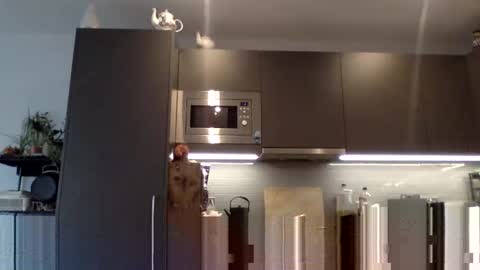 Snapshot of lupine_666 chatting on 12/12/24, 10:56 Lupine online show from 12/12/24, 10:56