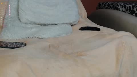 Snapshot of lxlpalmalxl chatting on 01/18/25, 09:02 Palma online show from 01/18/25, 09:02