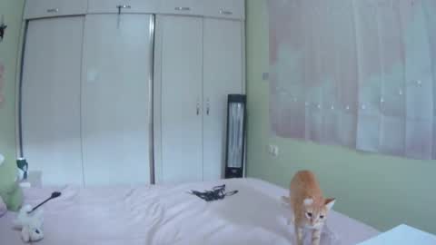 Kira online show from 10/10/25, 10:36