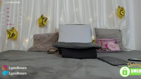 Snapshot of lynxrosen chatting on 12/19/24, 12:13 Lynx Rosen online show from 12/19/24, 12:13