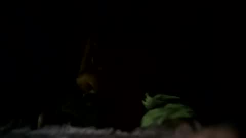 Snapshot of m8437769 chatting on 10/22/25, 07:13 m8437769 online show from 10/22/25, 07:13