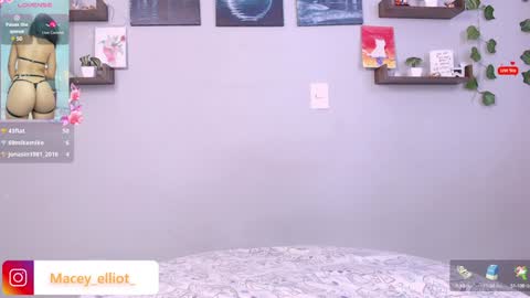 Snapshot of macey_hairy chatting on 01/17/25, 08:11 Macey Elliot Modelo Independiente online show from 01/17/25, 08:11