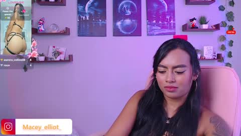 Snapshot of macey_hairy chatting on 02/06/25, 03:31 Macey Elliot Modelo Independiente online show from 02/06/25, 03:31