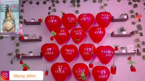 Snapshot of macey_hairy chatting on 02/15/25, 02:55 Macey Elliot Modelo Independiente online show from 02/15/25, 02:55