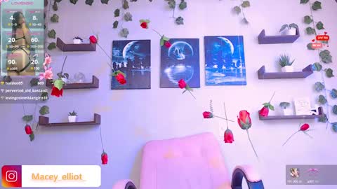 Snapshot of macey_hairy chatting on 02/26/25, 07:16 Macey Elliot Modelo Independiente online show from 02/26/25, 07:16