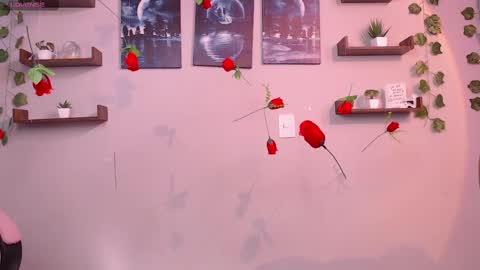Snapshot of macey_hairy chatting on 03/01/25, 02:02 Macey Elliot Modelo Independiente online show from 03/01/25, 02:02