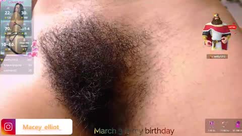 Snapshot of macey_hairy chatting on 03/02/25, 11:42 Macey Elliot Modelo Independiente online show from 03/02/25, 11:42