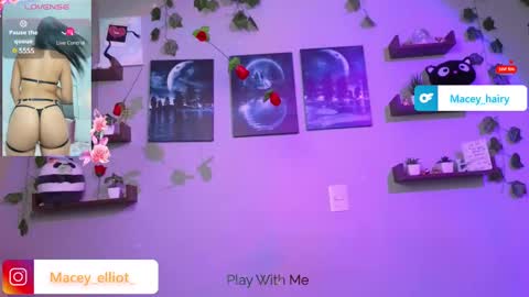 Snapshot of macey_hairy chatting on 03/12/25, 09:35 Macey Elliot Modelo Independiente online show from 03/12/25, 09:35