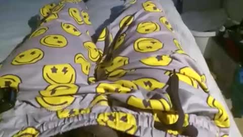 KingDingALingPattiPhatty online show from 10/30/25, 06:52