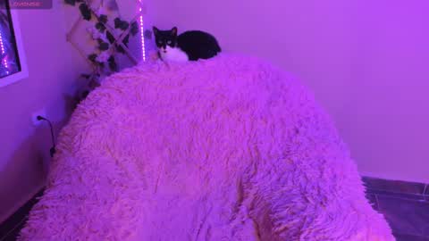 Madeline  online show from 09/29/25, 01:11