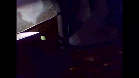 romantic online show from 11/02/25, 07:33