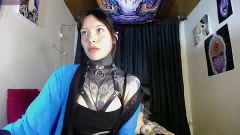 Snapshot of maliceinwonderland25 chatting on 12/06/24, 04:25 Alice Asylum online show from 12/06/24, 04:25