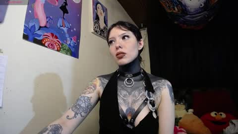 Snapshot of maliceinwonderland25 chatting on 12/13/24, 01:37 Alice Asylum online show from 12/13/24, 01:37