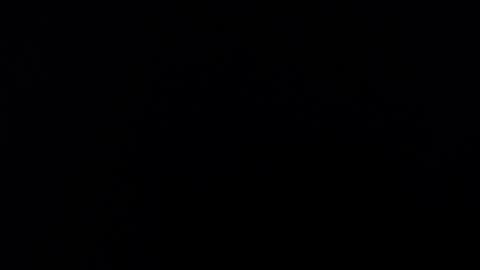 Snapshot of maliceinwonderland25 chatting on 11/16/25, 03:45 Alice Asylum online show from 11/16/25, 03:45