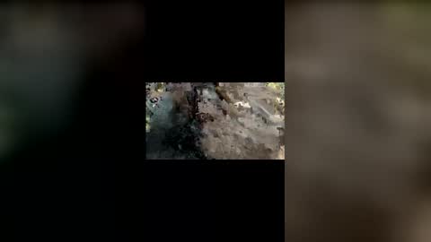 Mallubull online show from 11/25/25, 08:42